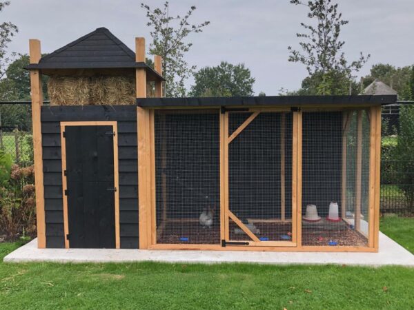 Kippenhok met Ren en Hooiberg - Afbeelding 6